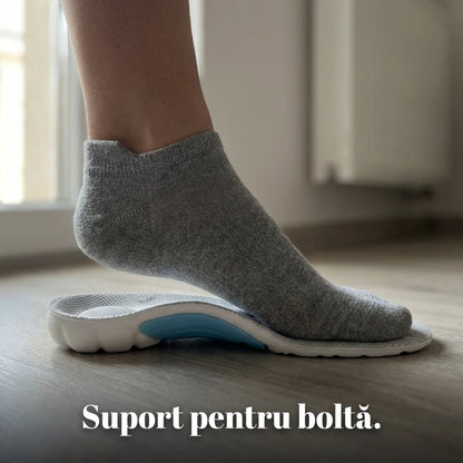 Suport pentru boltă